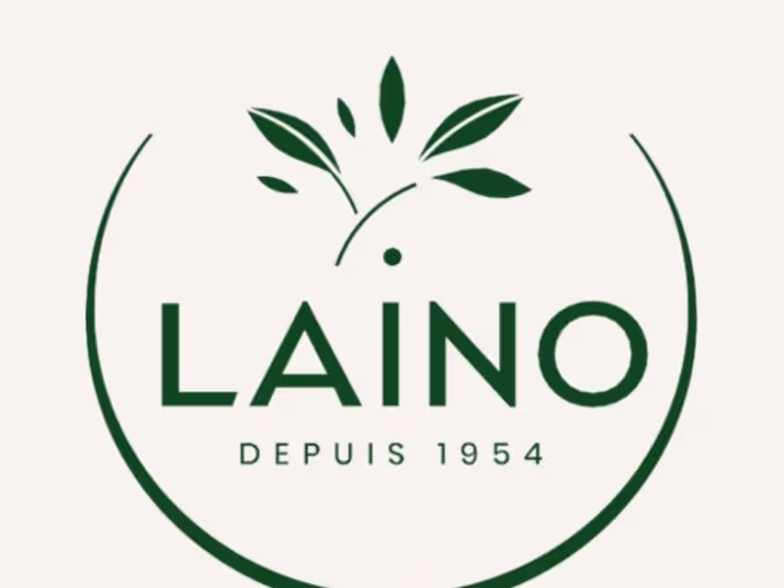 Cover image for Social Media Strategy : Laino - Launch French Market