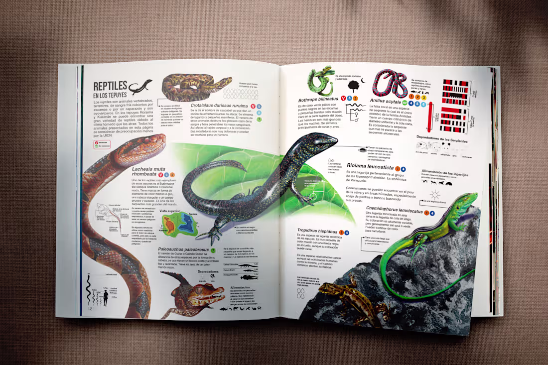 Cover image for Illustrated Reptile Infographic