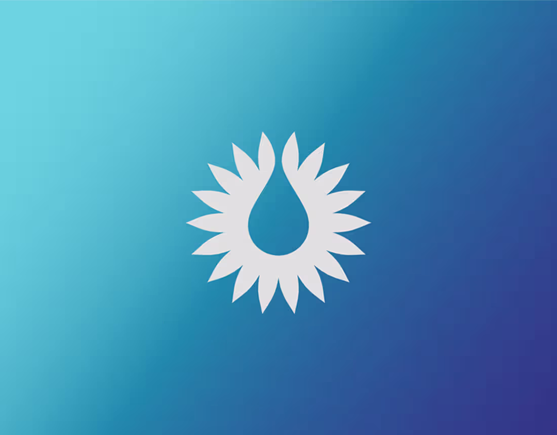 Cover image for Kaashmeen Oil and Gas