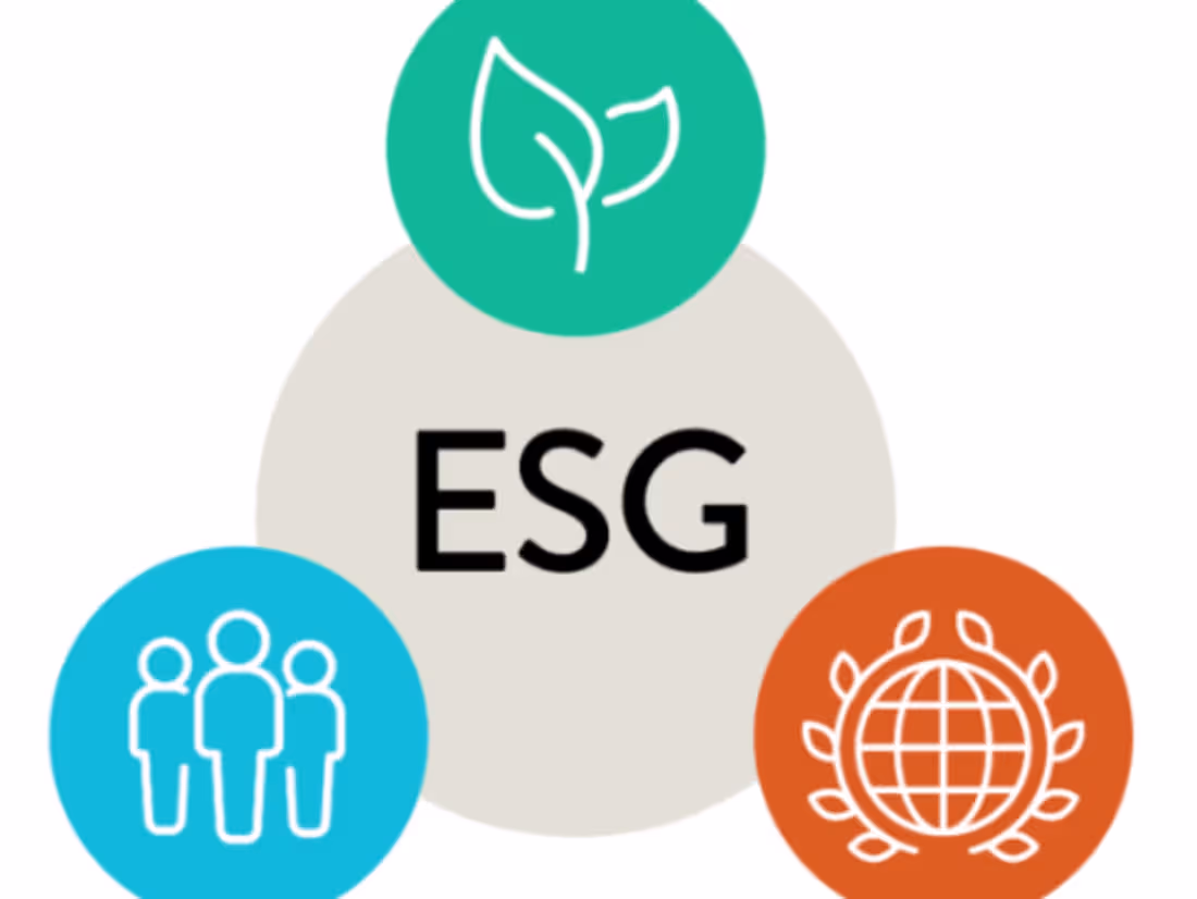 Cover image for ESG Data Analyst