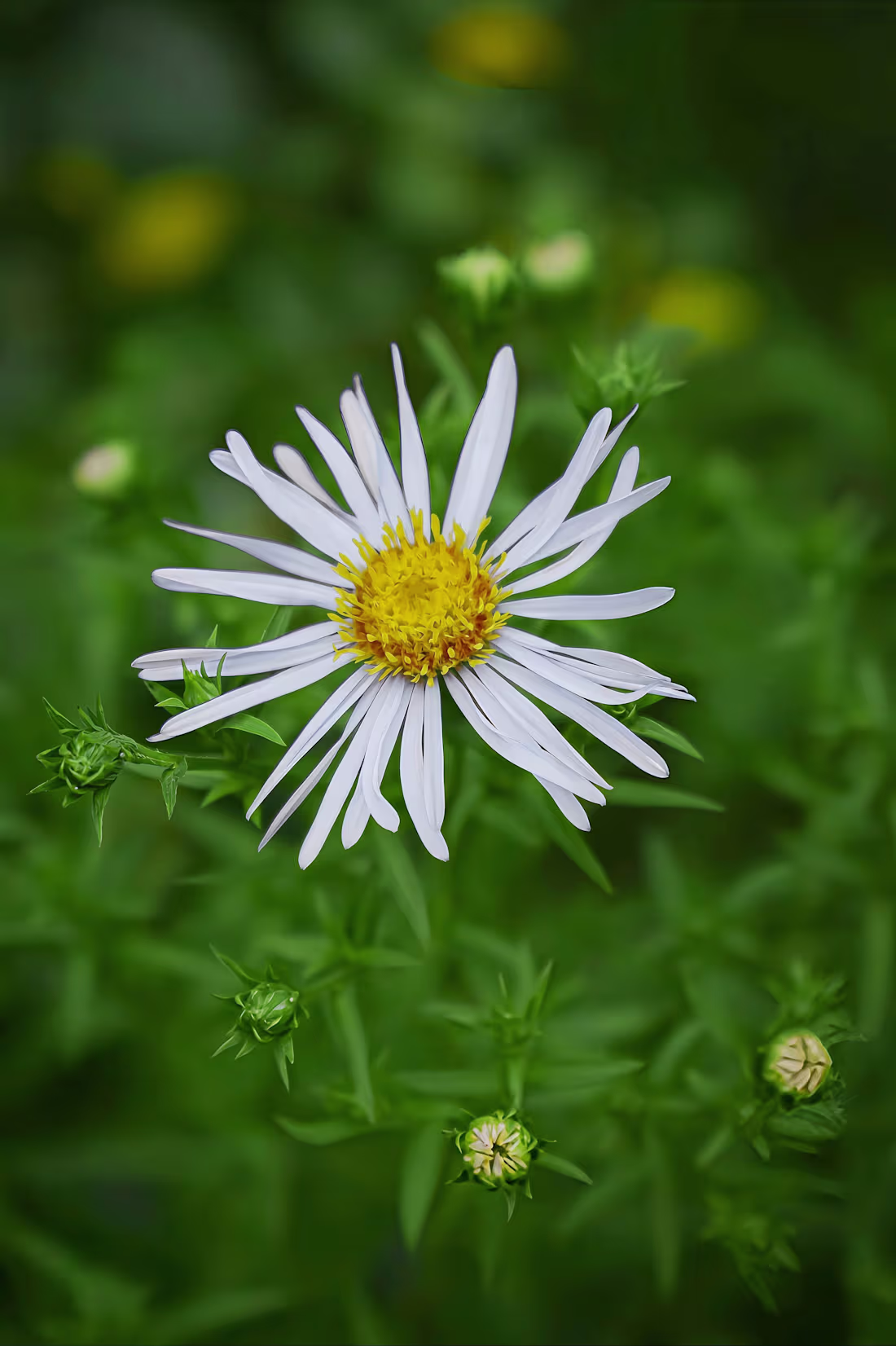 Cover image for All work was done by