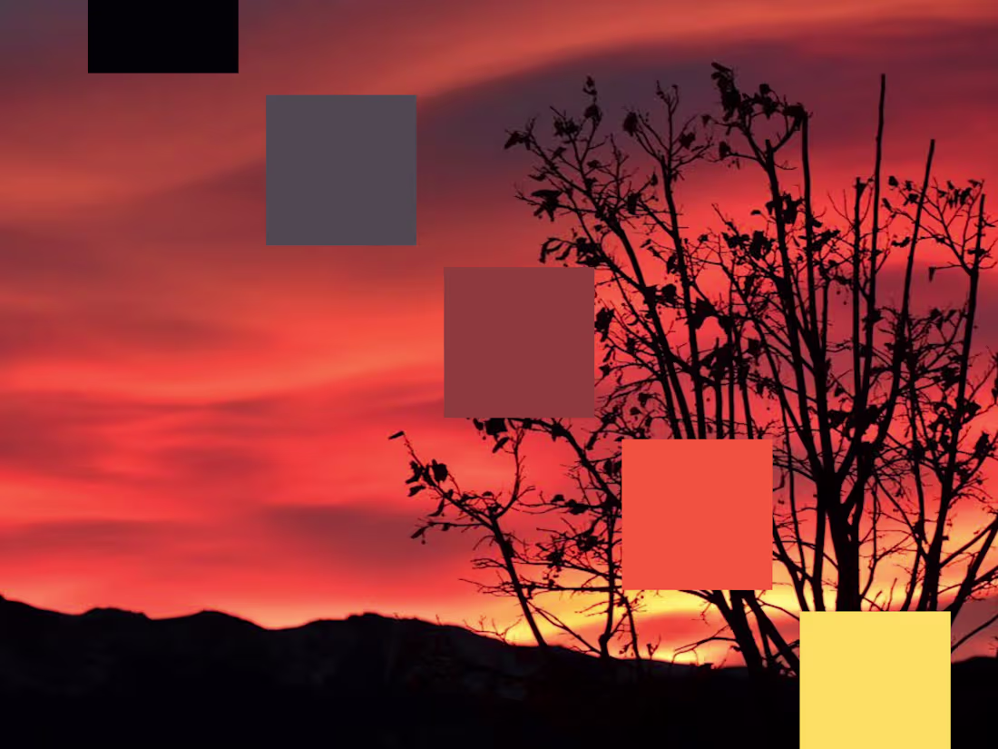 Cover image for Brand Identity and Strategy