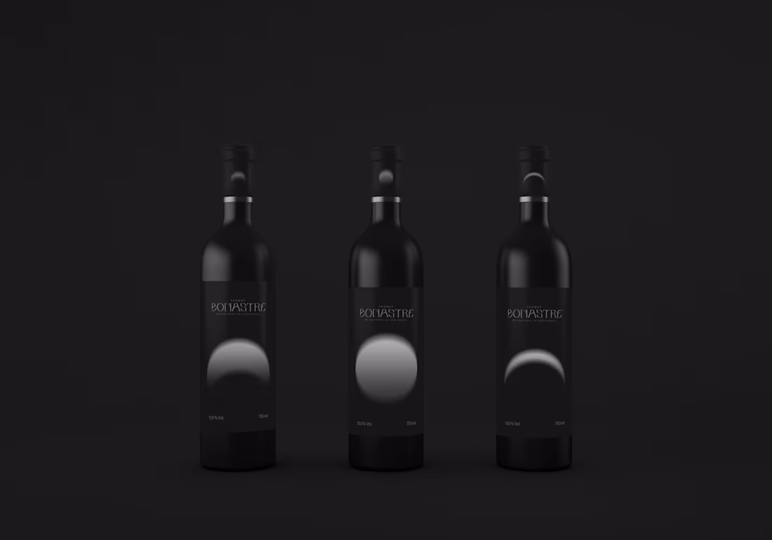 Cover image for Bonastre: An always unique routine