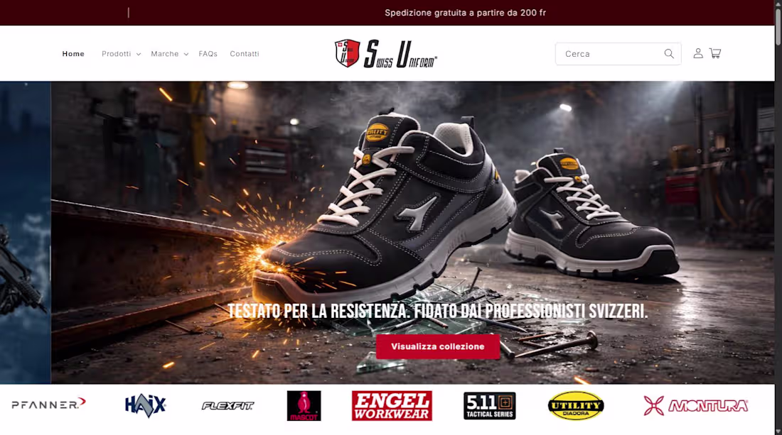 Cover image for Shopify Store Design & Development