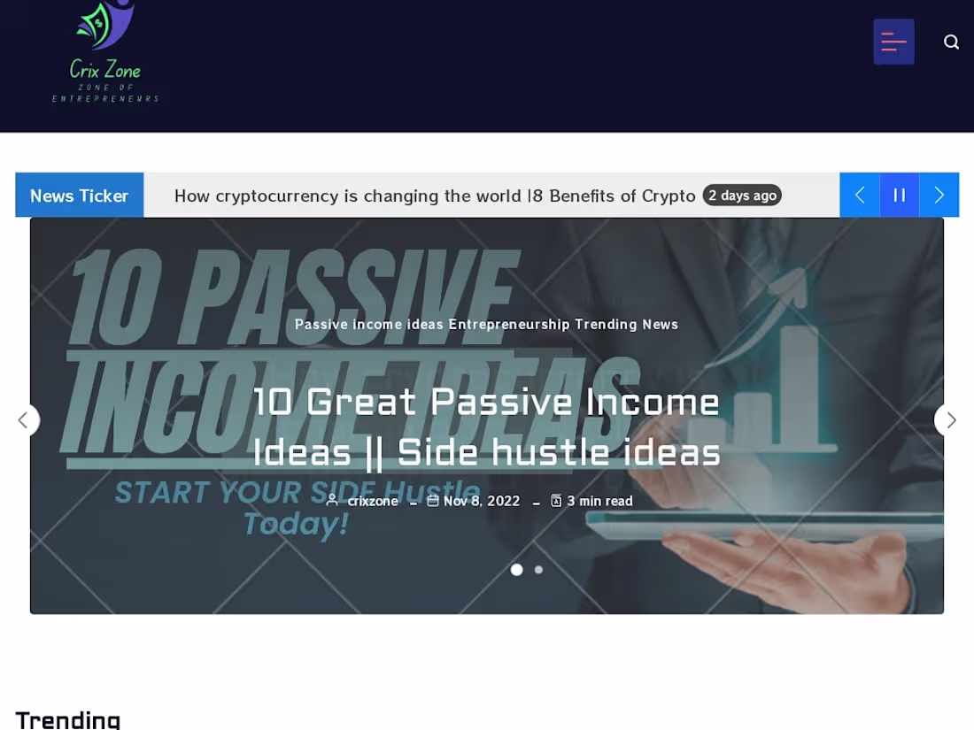 Cover image for Crix Zone