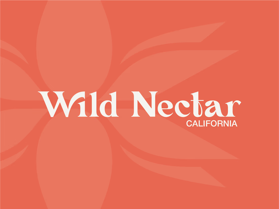 Cover image for Wild Nectar 2025 Visual Identity