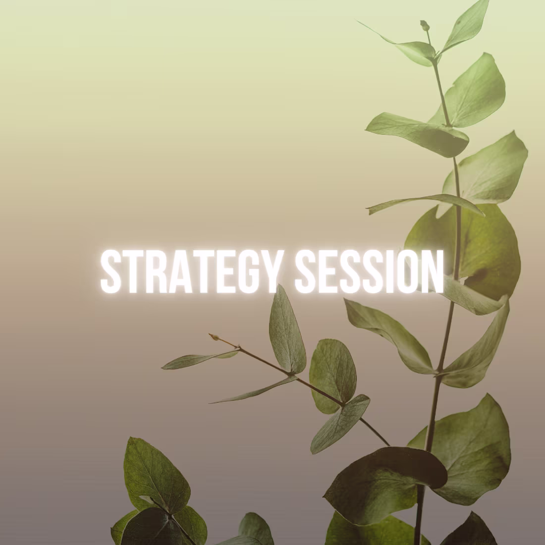 Cover image for  Clarity Call + Custom Brand Roadmap