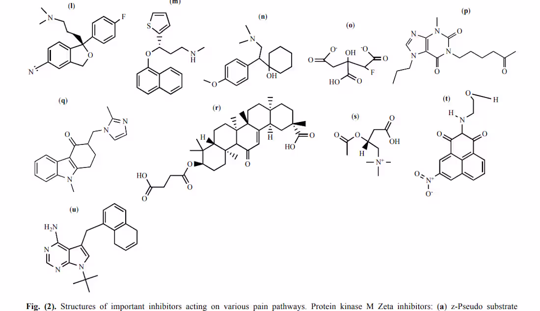 Cover image for Assistance in high-quality Ph.D. proposal writing 