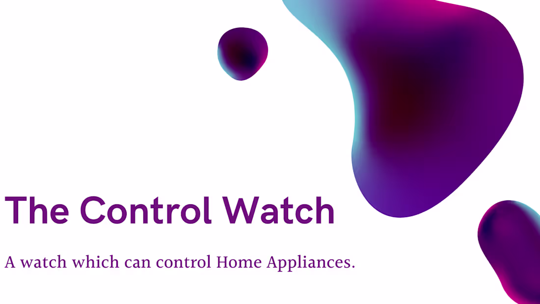 Cover image for The Control Watch