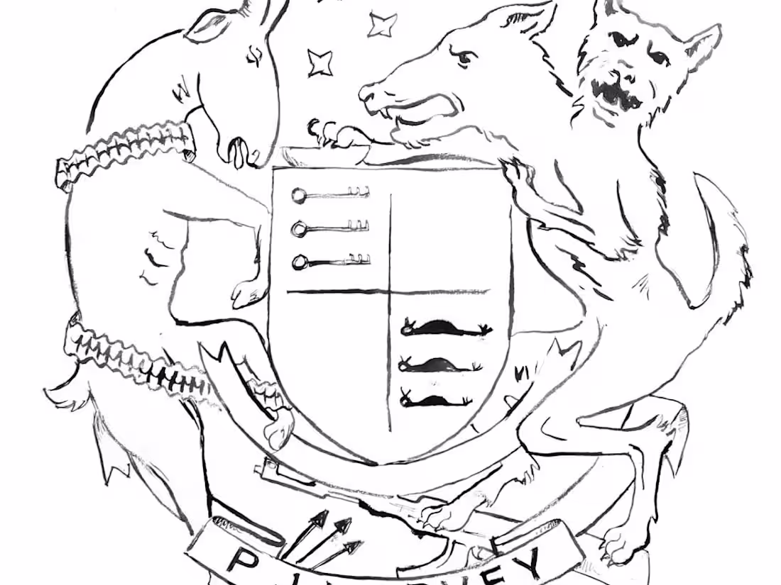 Cover image for The Hope Six Demolition Project