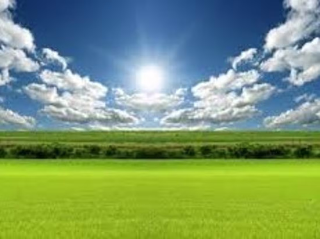 Cover image for Betting On Agriculture