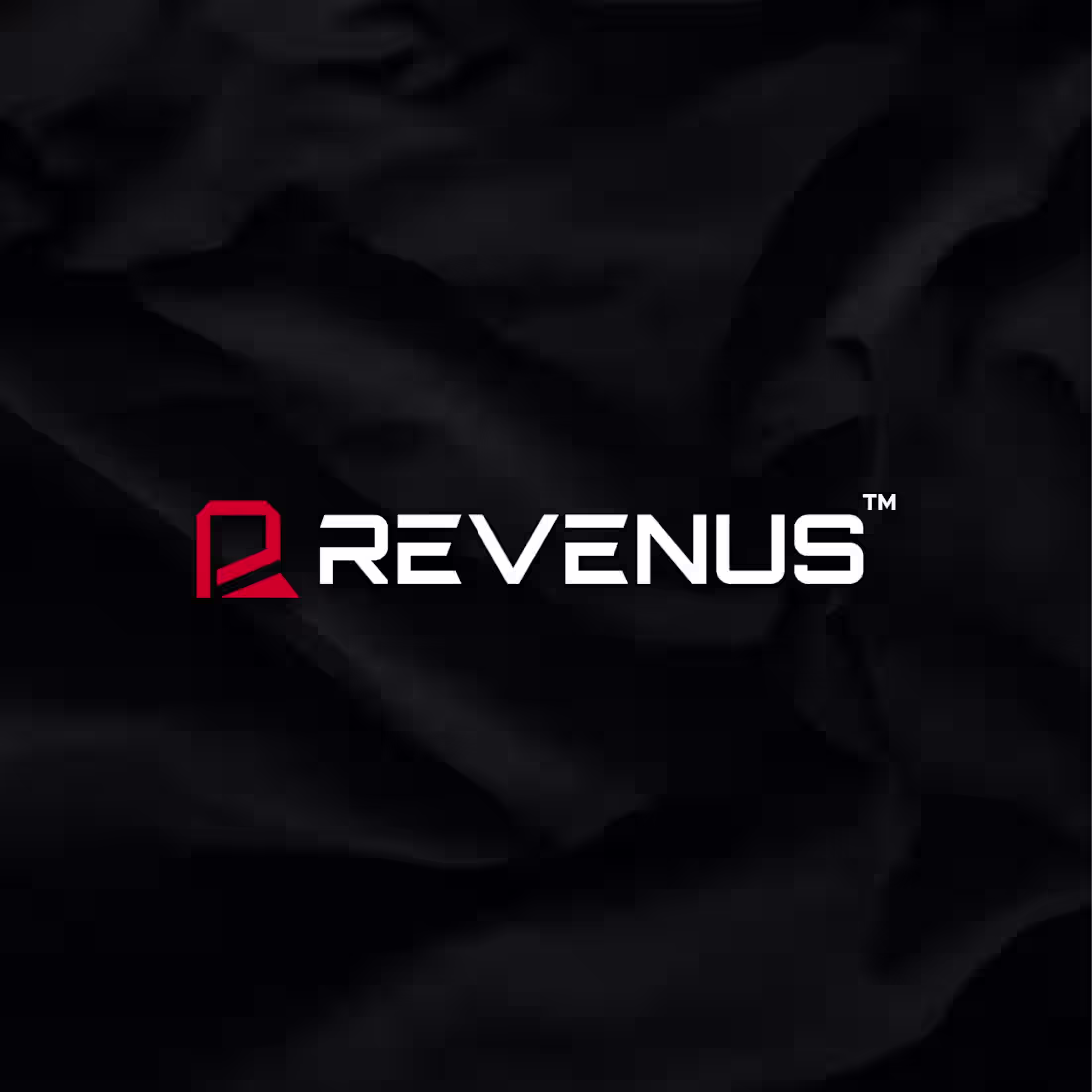 Cover image for Revenus Modern logo