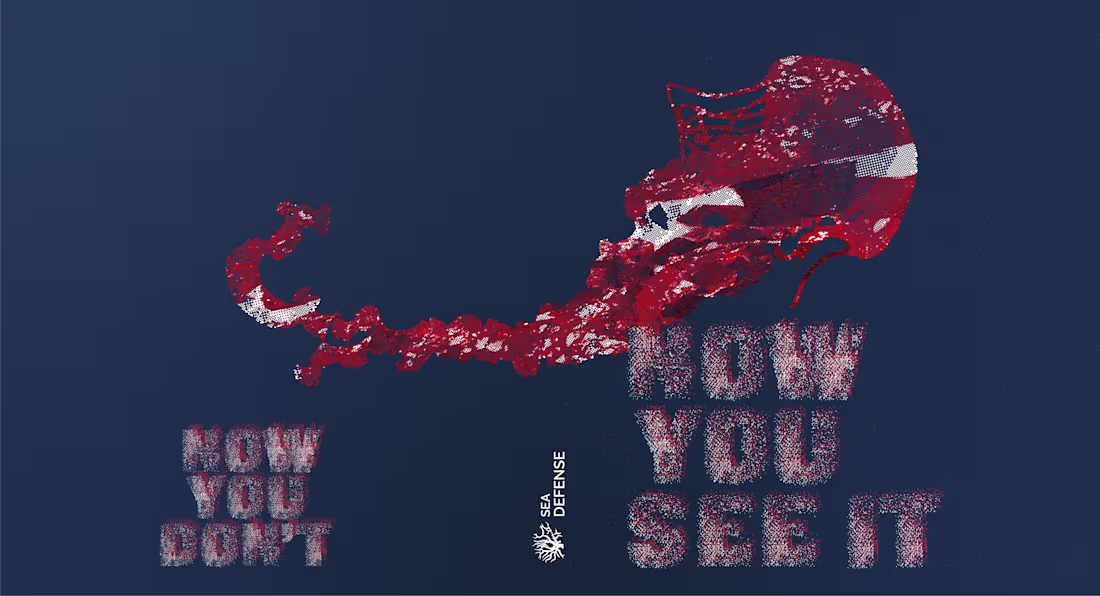 Cover image for Book ‘Now You See It‘