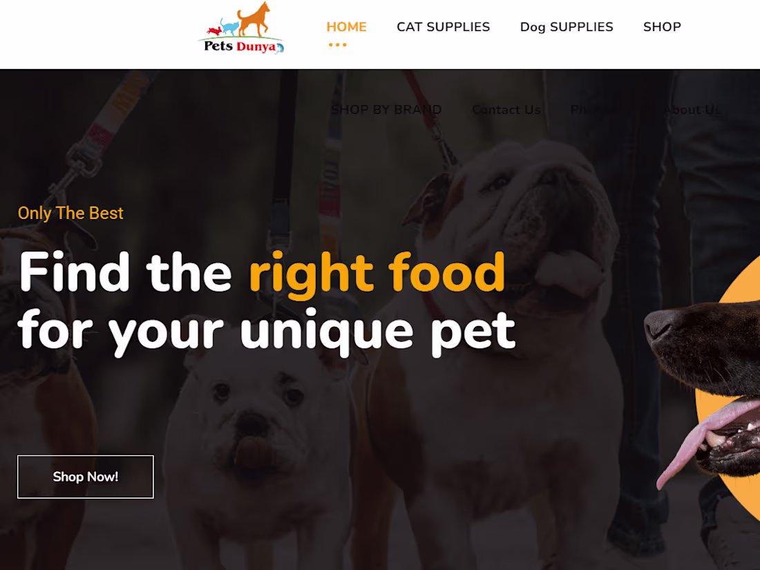 Cover image for Pets Food -Best Service Pets Dunya