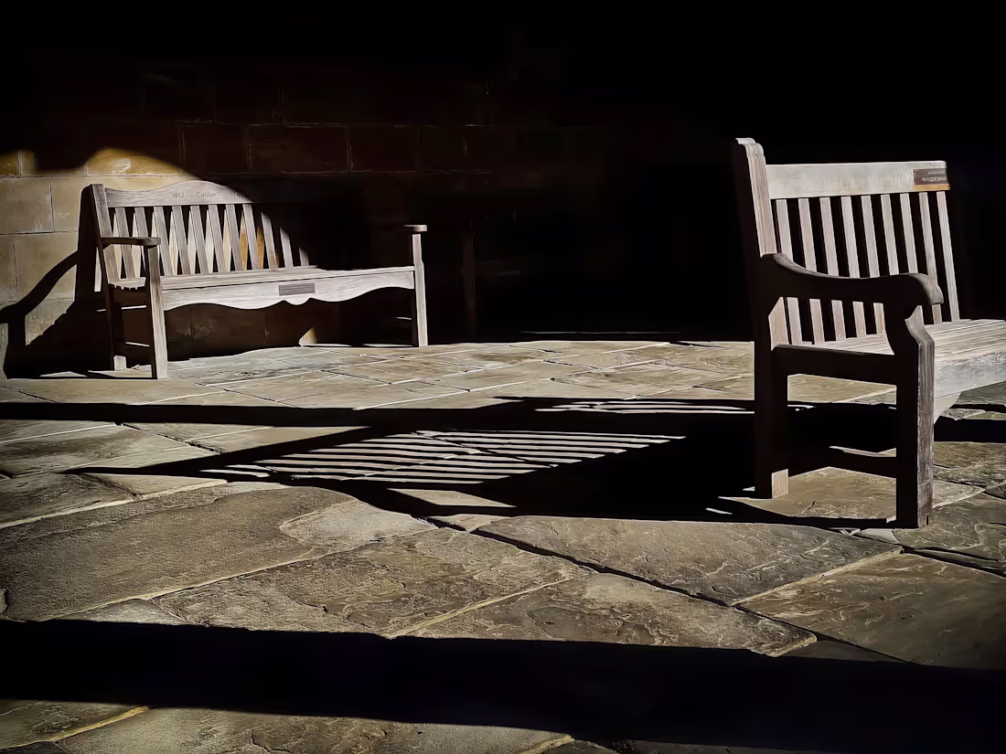 Cover image for Capturing light and shadow interaction