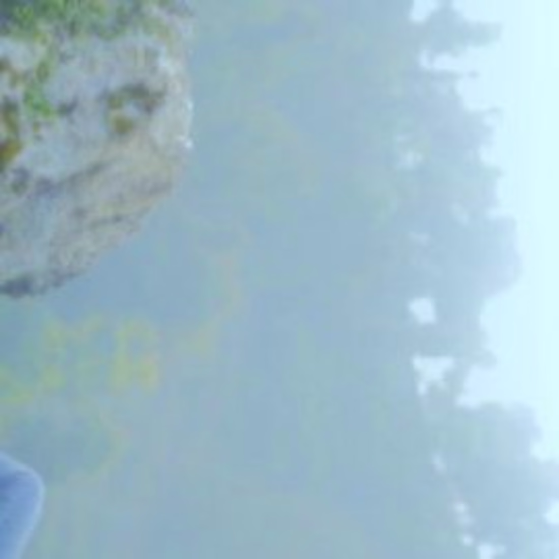 Cover image for Amit Chhillar on Instagram: “A little peace in a tired life and…