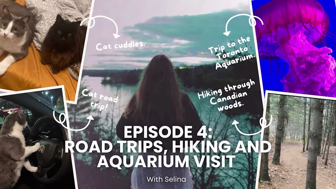 Cover image for Episode 4: Road Trip, Hikes and Aquarium Visit - YouTube