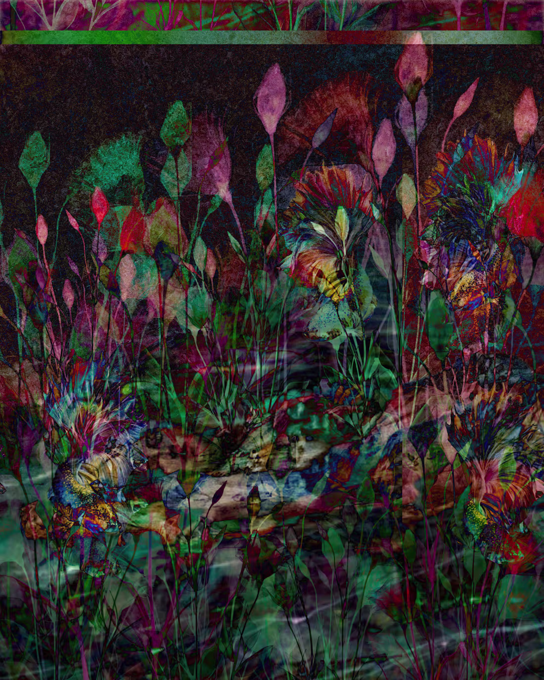 Cover image for Digital collage