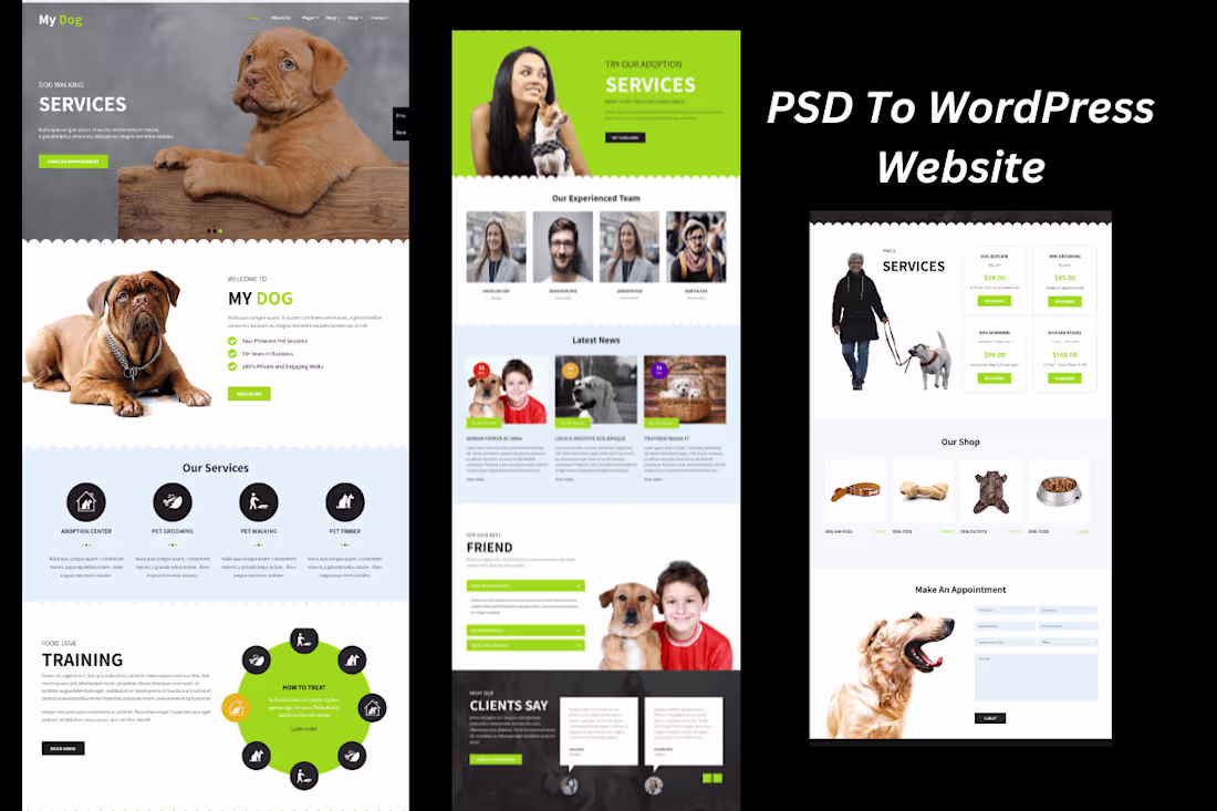 Cover image for PSD To WordPress Website