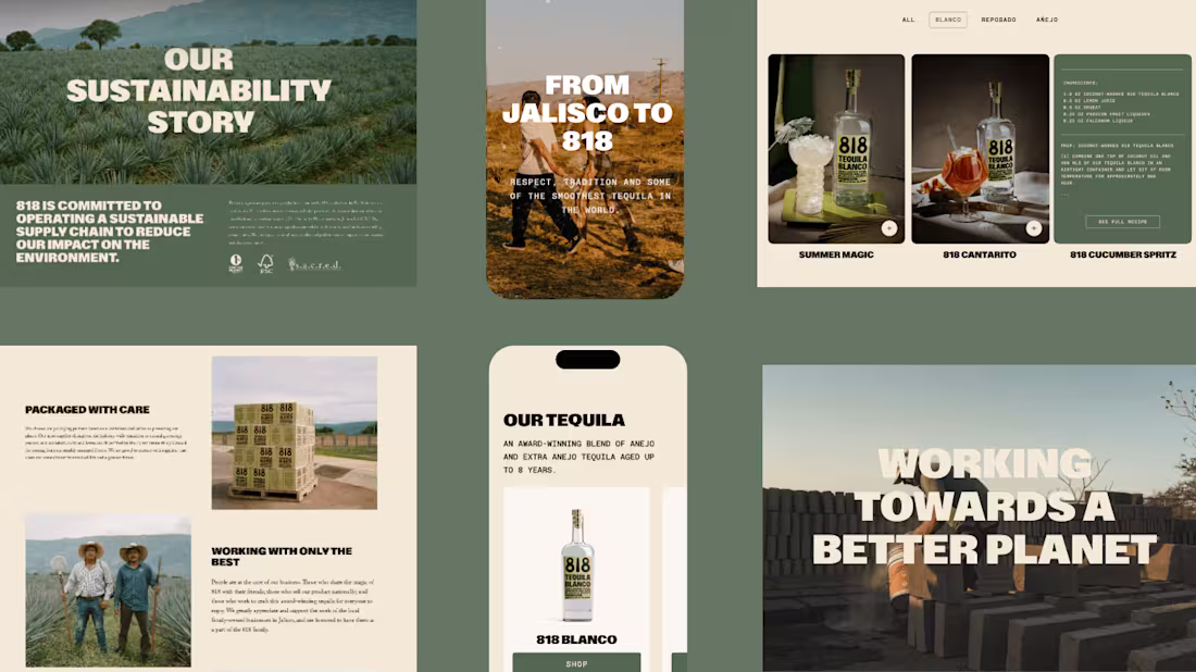 Cover image for Shopify Web Design for Award wining Tequila Brand