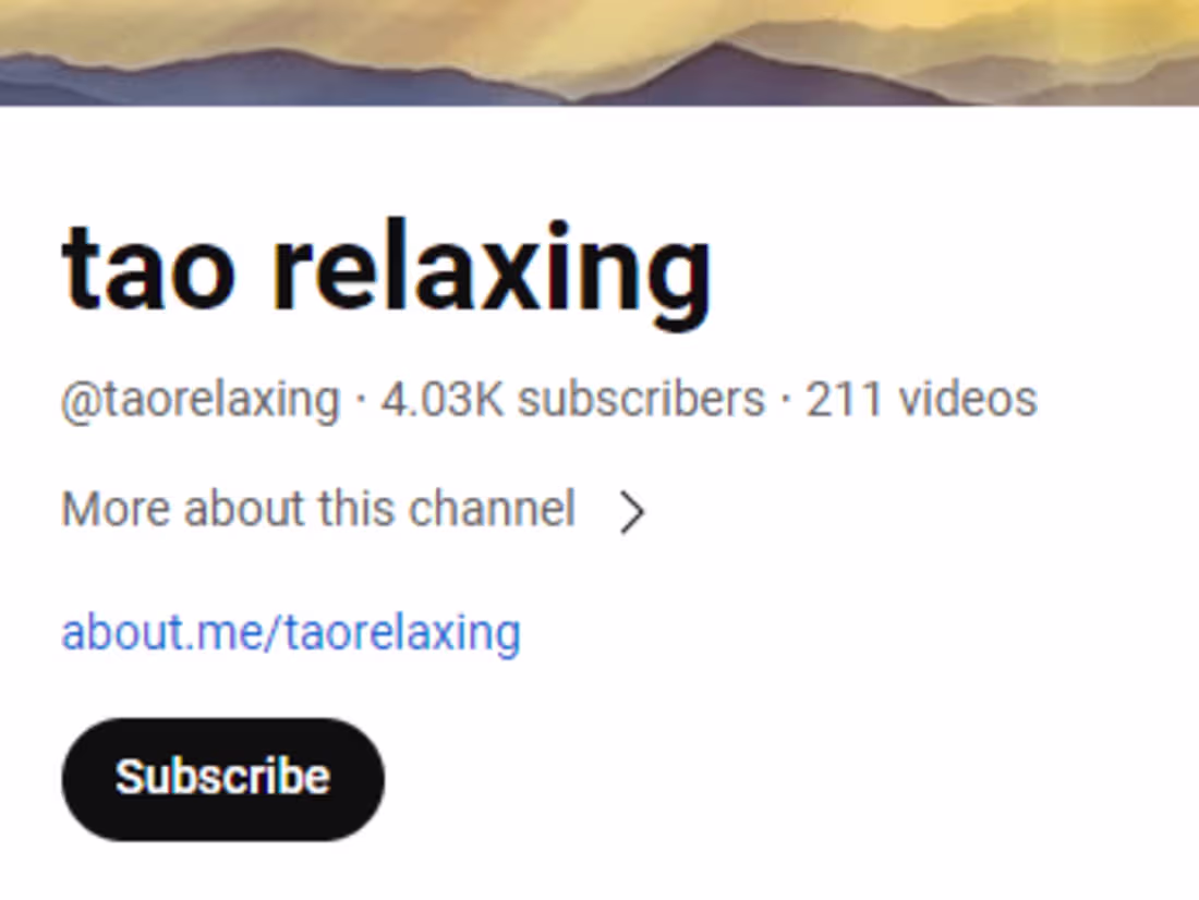 Cover image for SOCIAL MEDIA MANAGEMENT FOR A BRAND