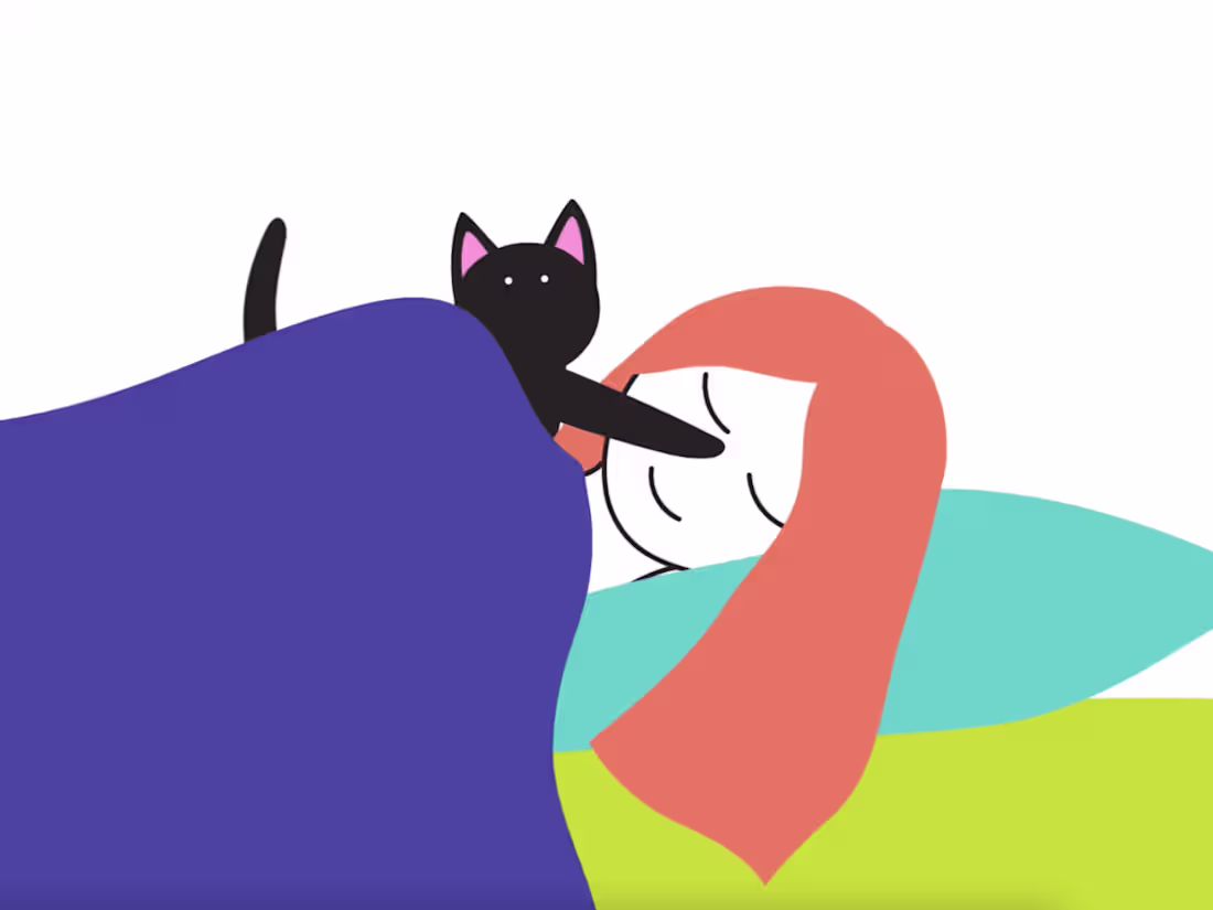 Cover image for 2D Animation: Me & My Cat