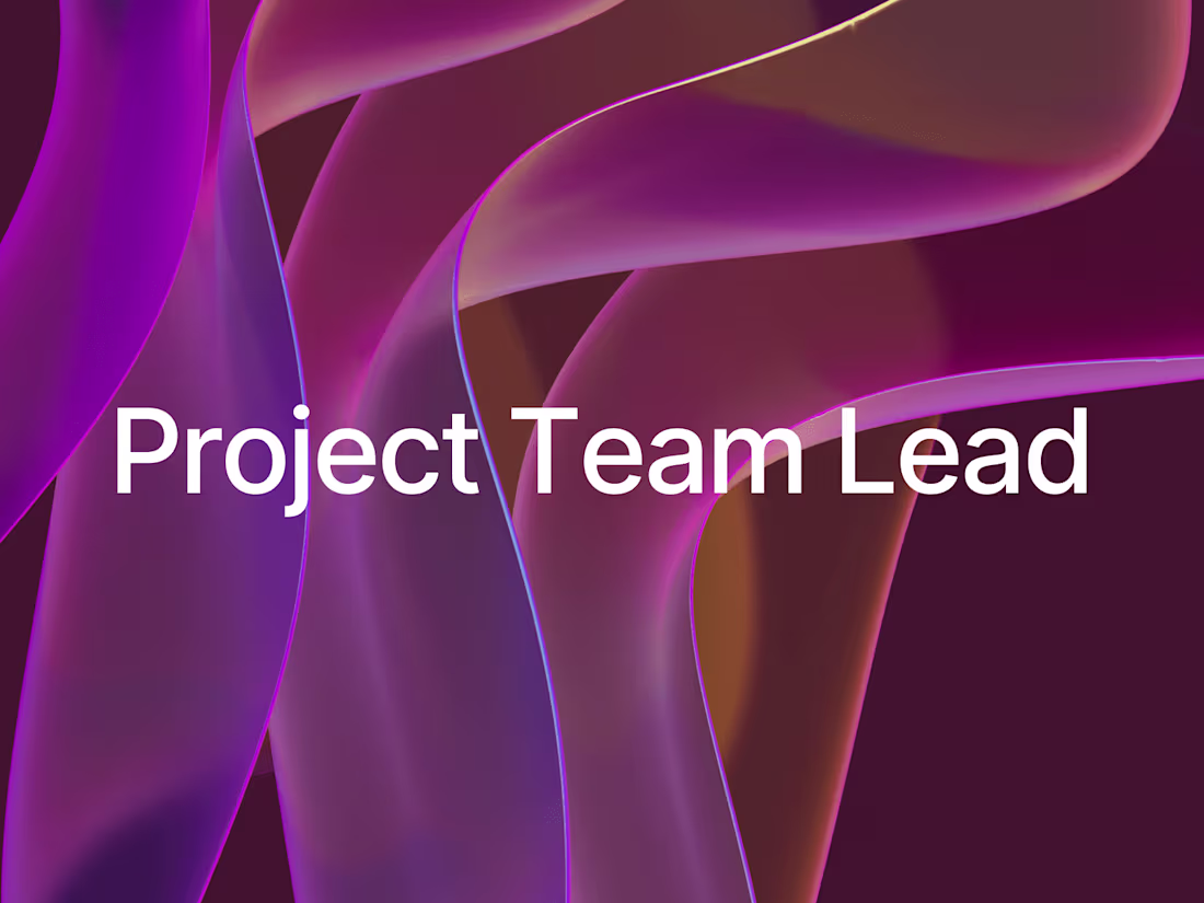 Cover image for Project Team Lead