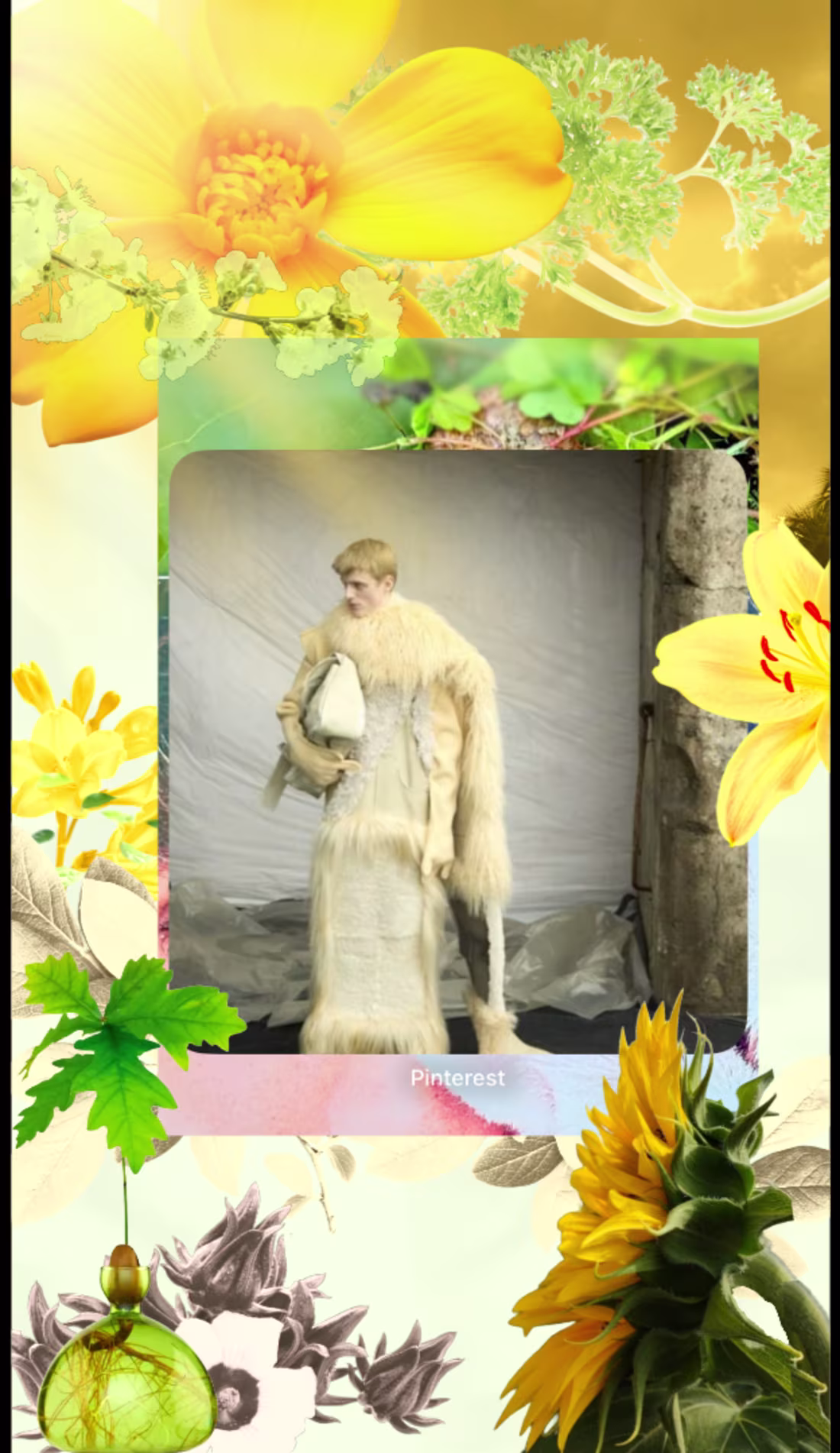 Cover image for Templates that I made in Adobe EXPRESS !