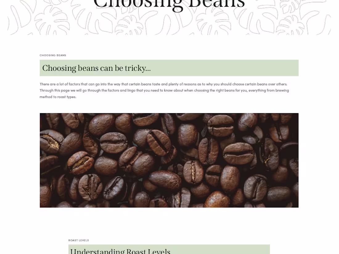 Cover image for Web Design