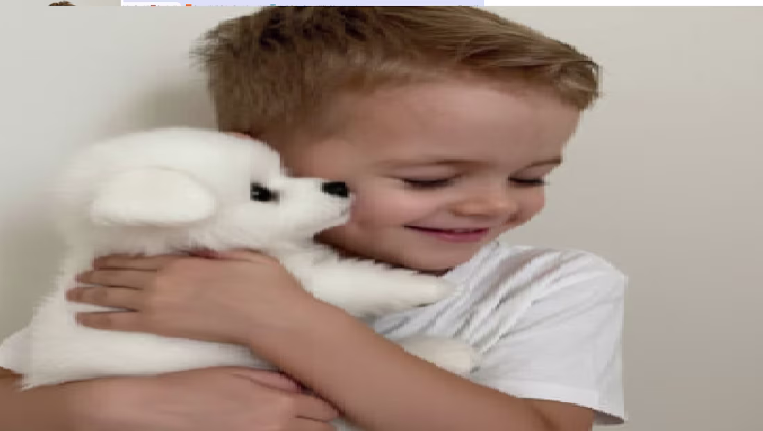 Cover image for Wuffy – A New Kind