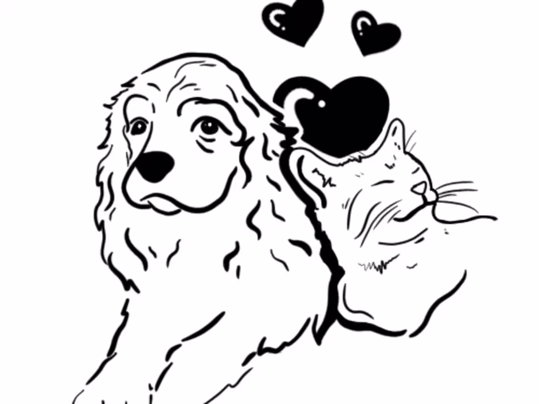 Cover image for Simple but cool