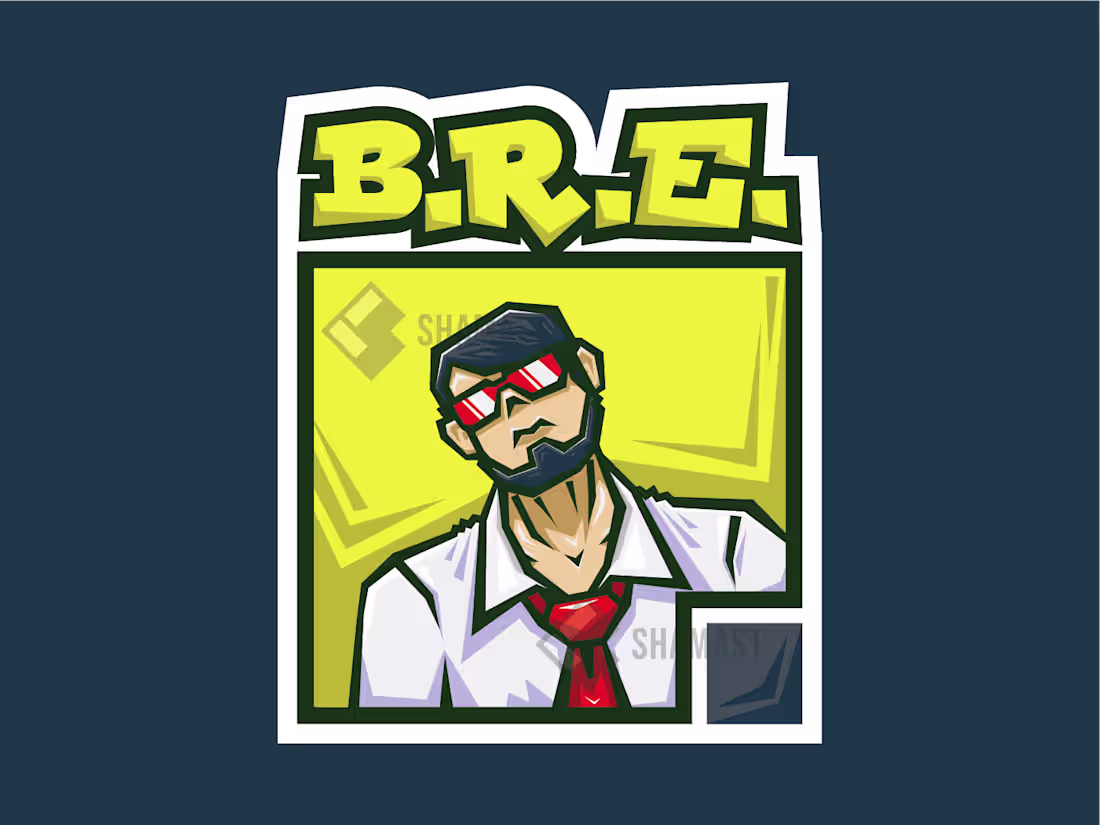 Cover image for Mr BRE Pop Art