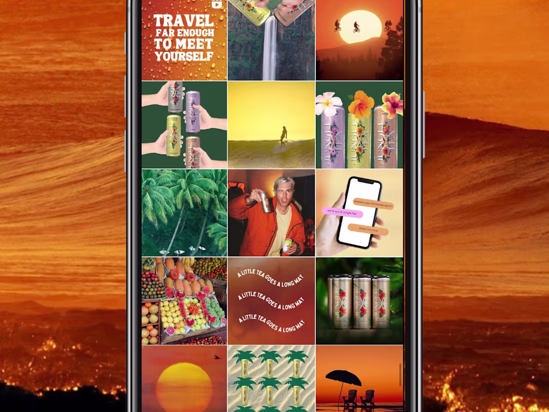 Cover image for Brand Identity, Social Media, UGC, Graphics: Jungle Tea