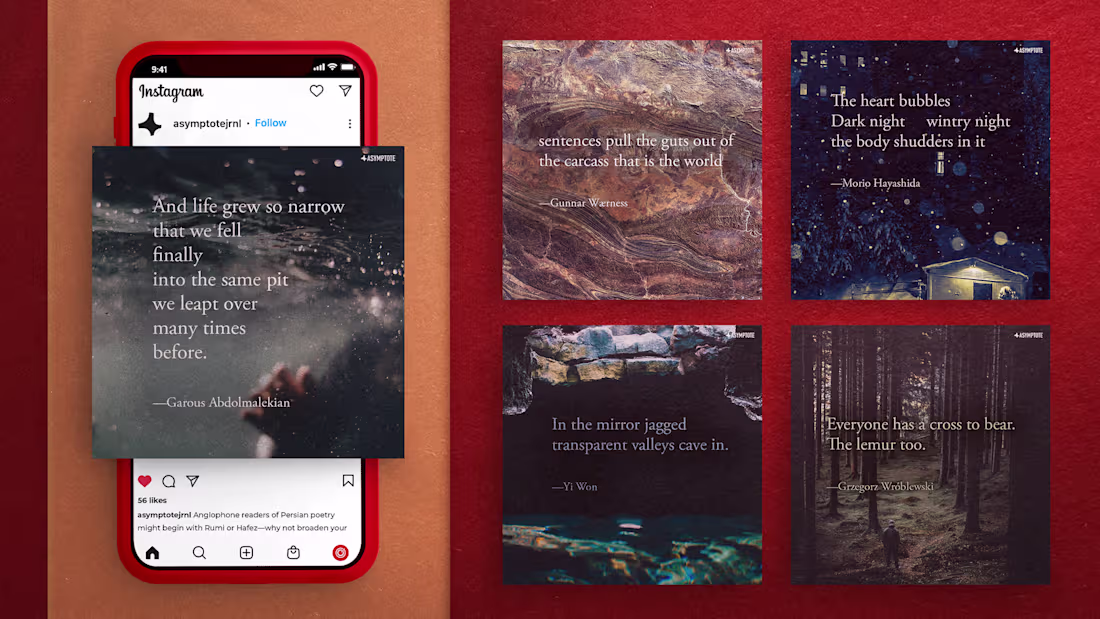 Cover image for Social Media / UGC