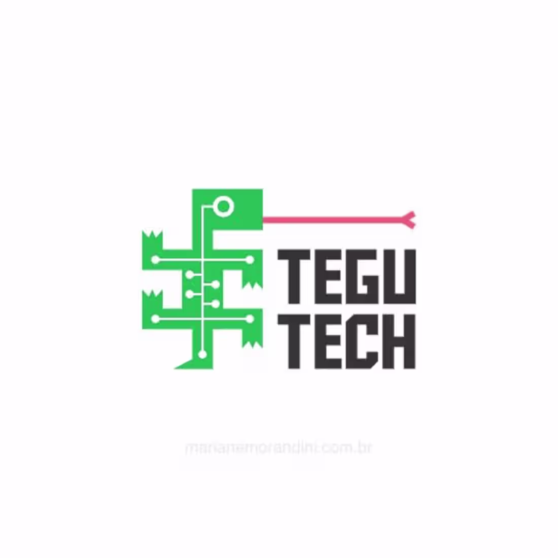 Cover image for Logo for Tegu Tech