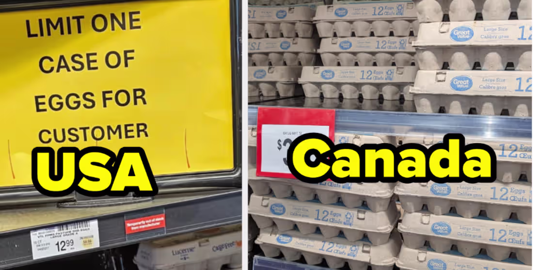 Cover image for Top Ten Reasons to Admire Canada