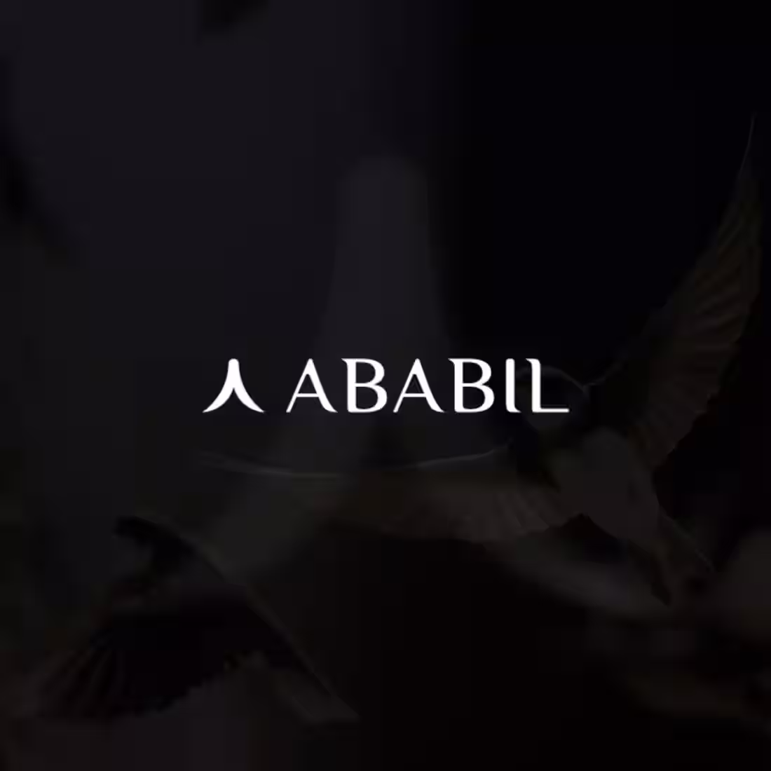 Cover image for Brand Identity / Logo Design