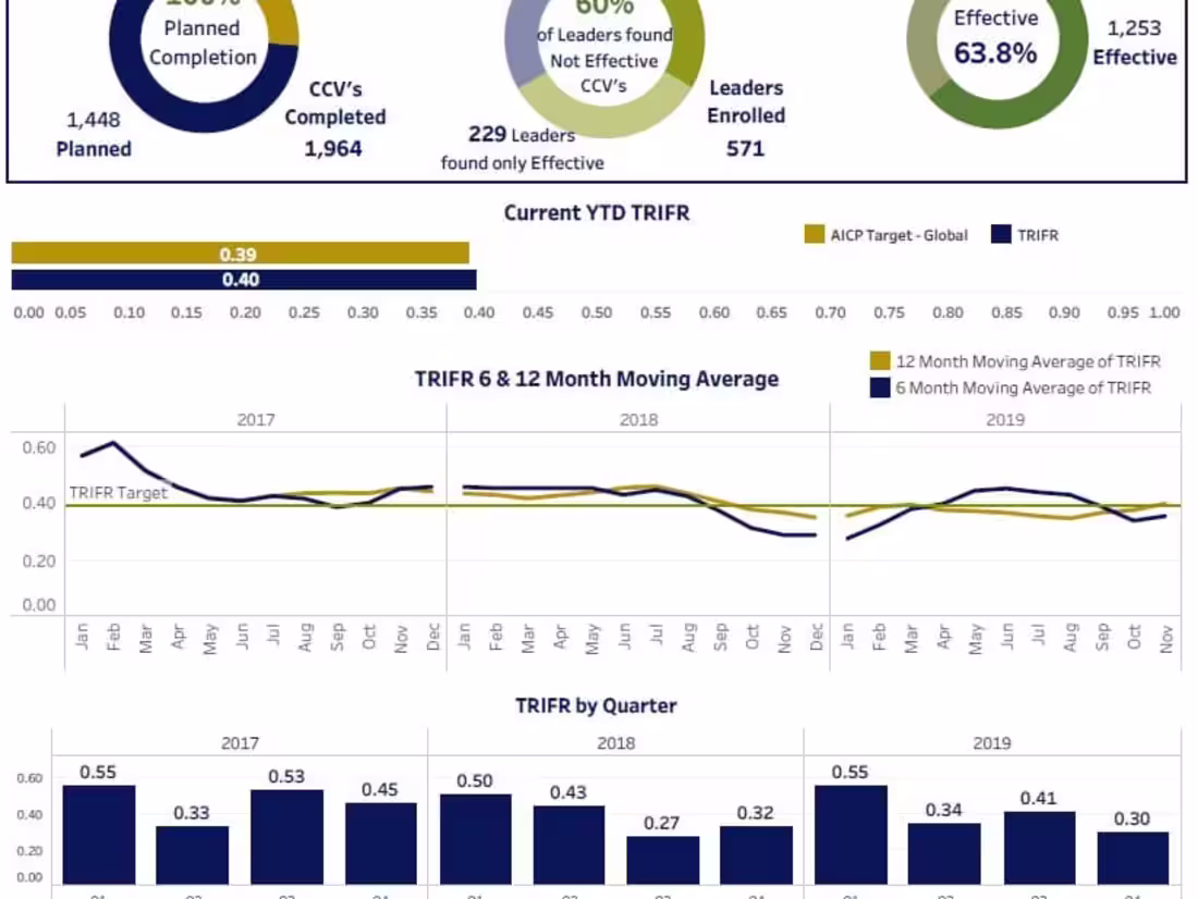 Cover image for Visualize large data sets!