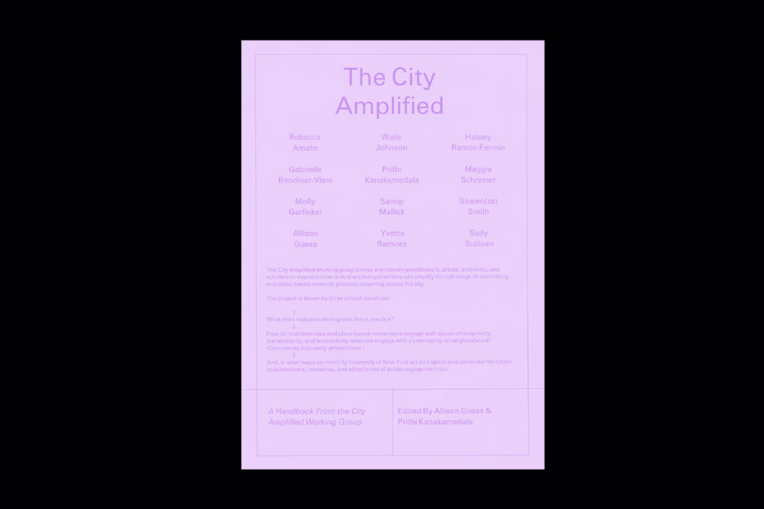 Cover image for City Amplified