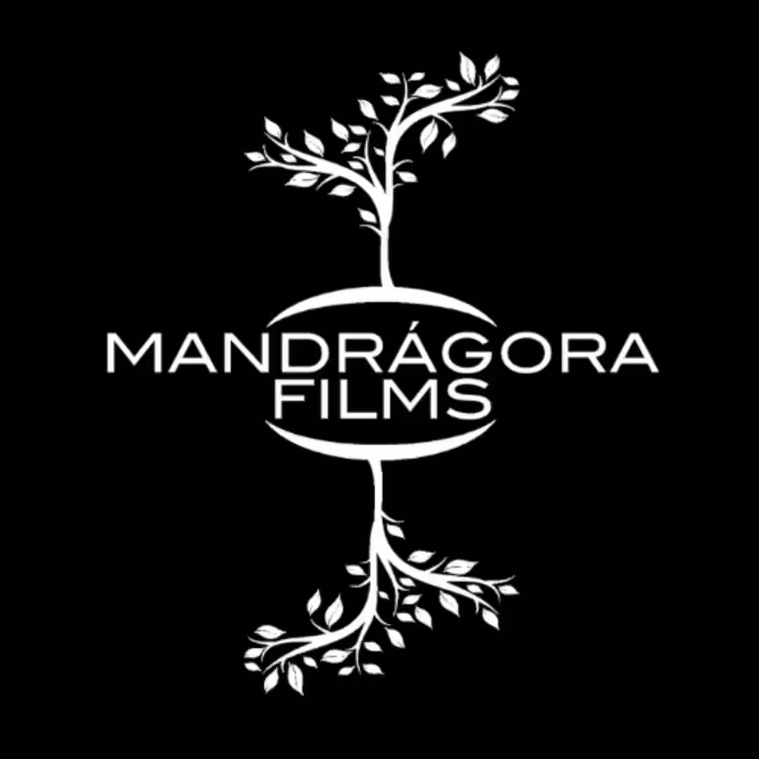 Cover image for Mandrágora Films LOGO