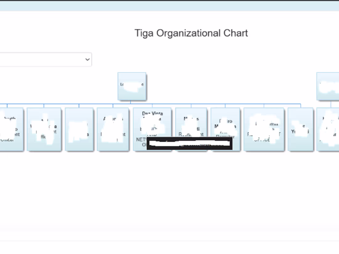 Cover image for Interactive Org Chart Data Visualization & QA in TIGA Employ...