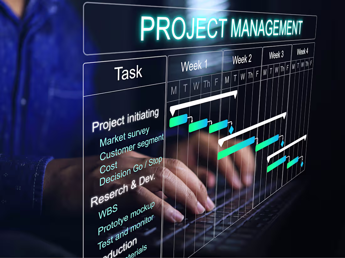 Cover image for Senior Project Manager PMP Certified