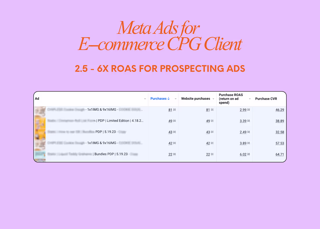 Cover image for Meta Ads for CPG E-commerce Brand