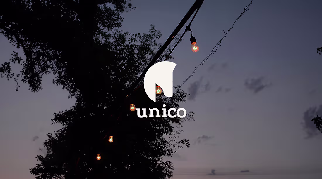 Cover image for Unico Organization