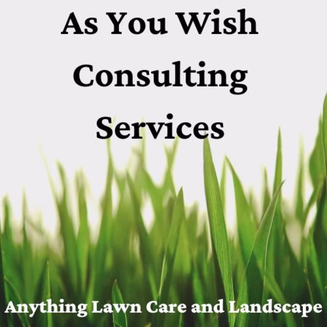 Cover image for "Professional Logo Design | Eye-Catching & Timeless"