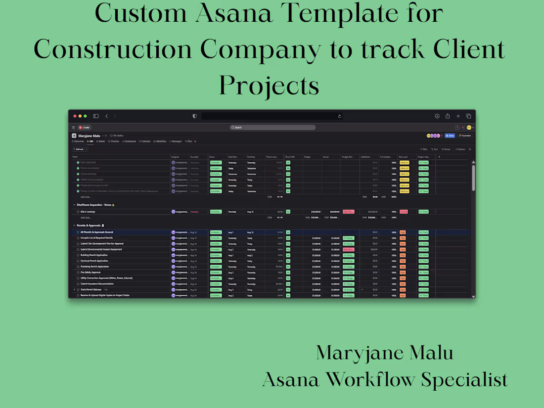 Cover image for Asana System Setup and Management