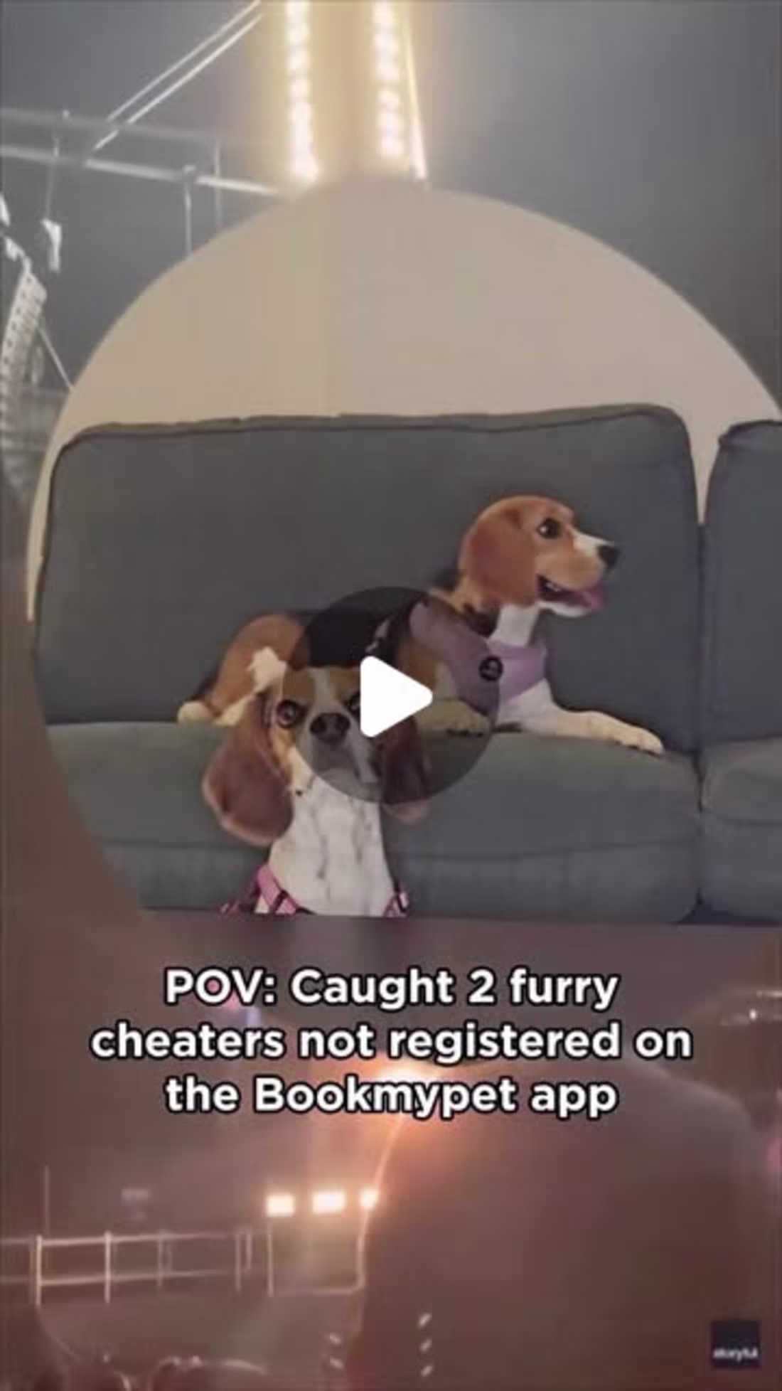 Cover image for Caught in 4K. Coldplay Trendy Video