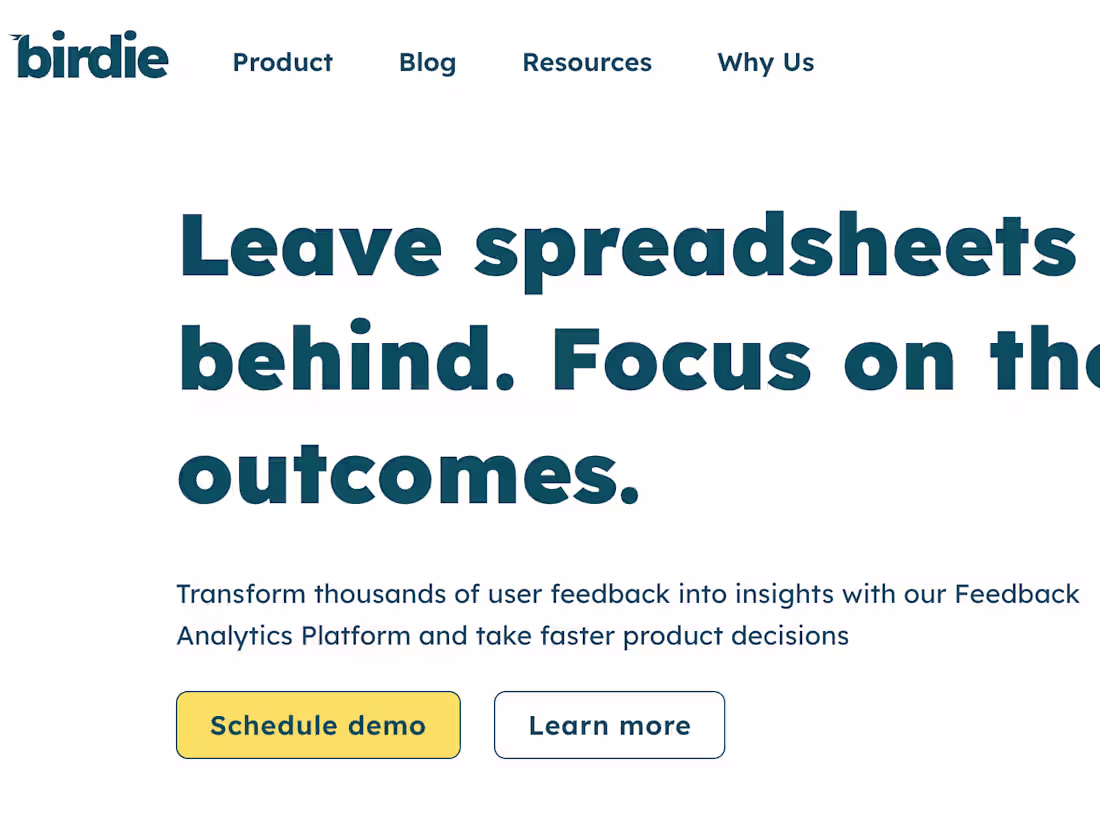 Cover image for Birdie Product Positioning