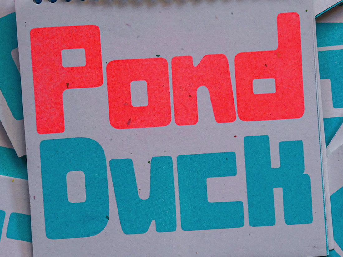 Cover image for Pond Duck Zine: A Font Showcase