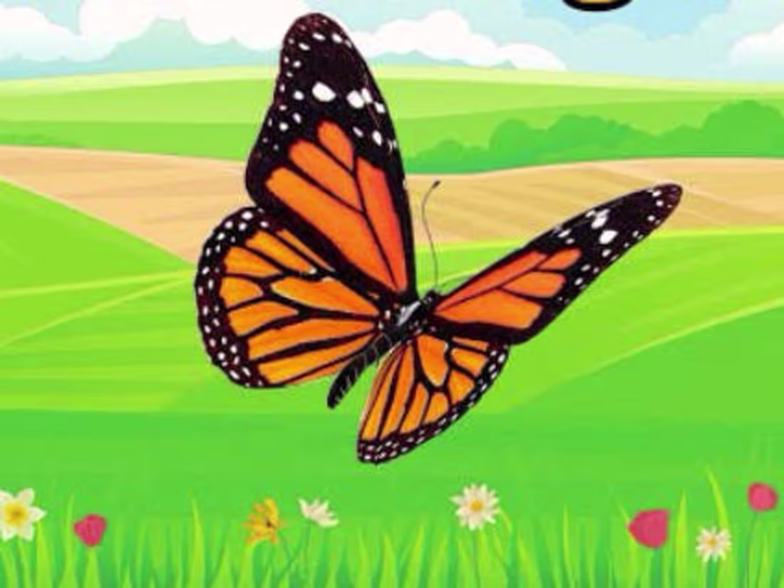 Cover image for Bella and the Big Change - YouTube